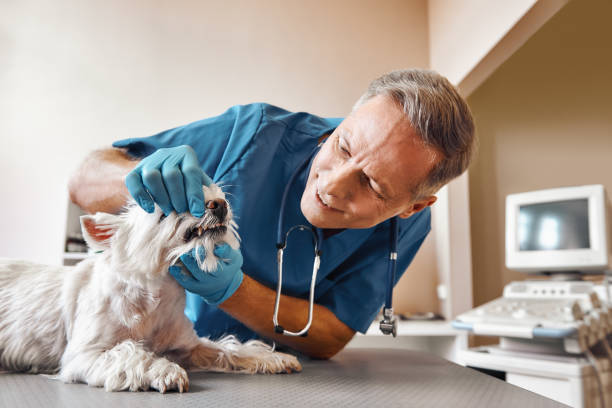 Best Same-Day Emergency Appointments in Leisure Village East, NJ